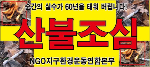 강원도, 산나물 채취시기‘입산자 실화’예방 총력 대응